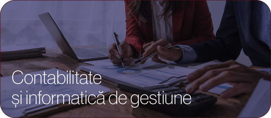 Contabilitate și informatică de gestiune